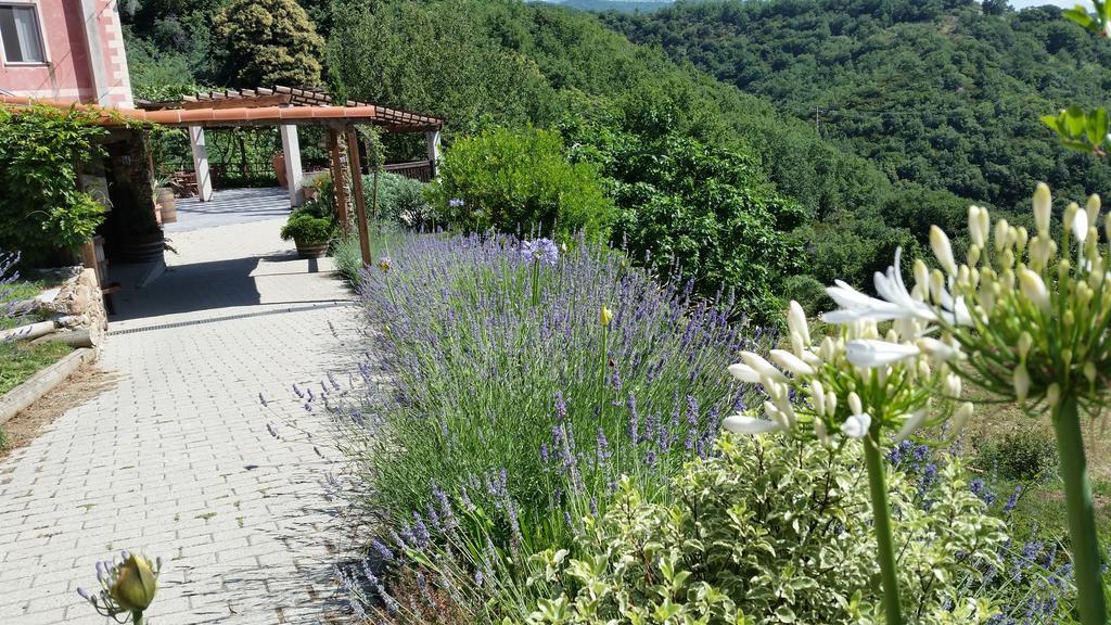 Agriturismo Gocce Di Luna Bed & Breakfast Celle Ligure Exterior foto