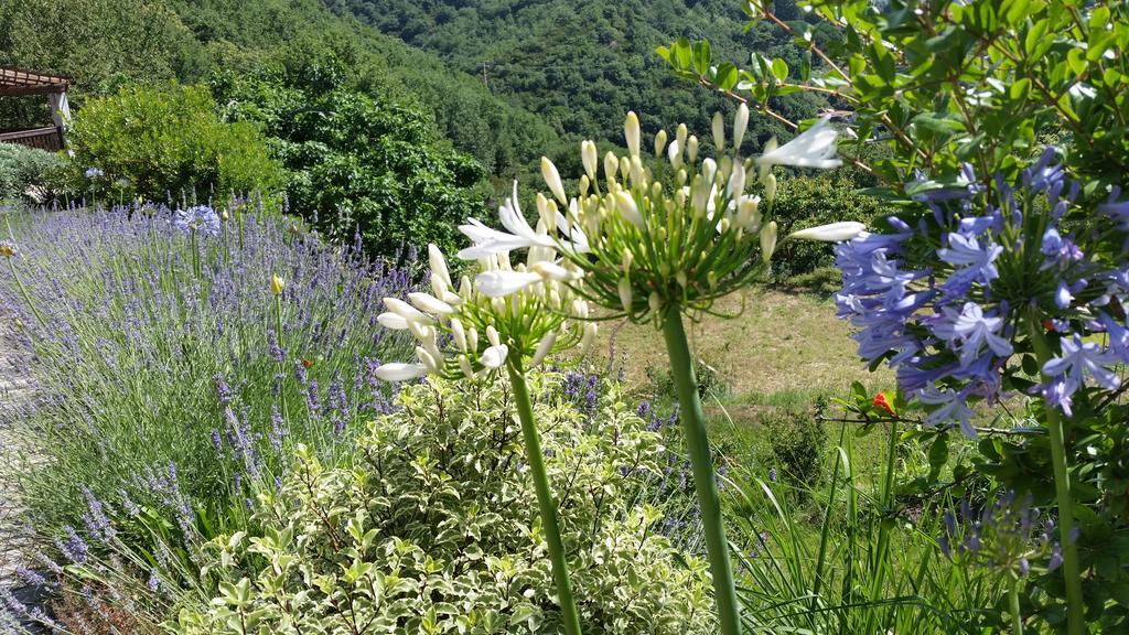 Agriturismo Gocce Di Luna Bed & Breakfast Celle Ligure Exterior foto